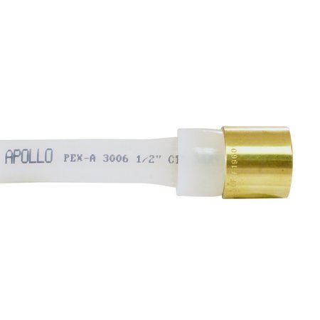 Apollo PEX-A 1/2 in. Expansion PEX in to X 1/2 in. D Female Sweat Brass Adapter EPXFS1212